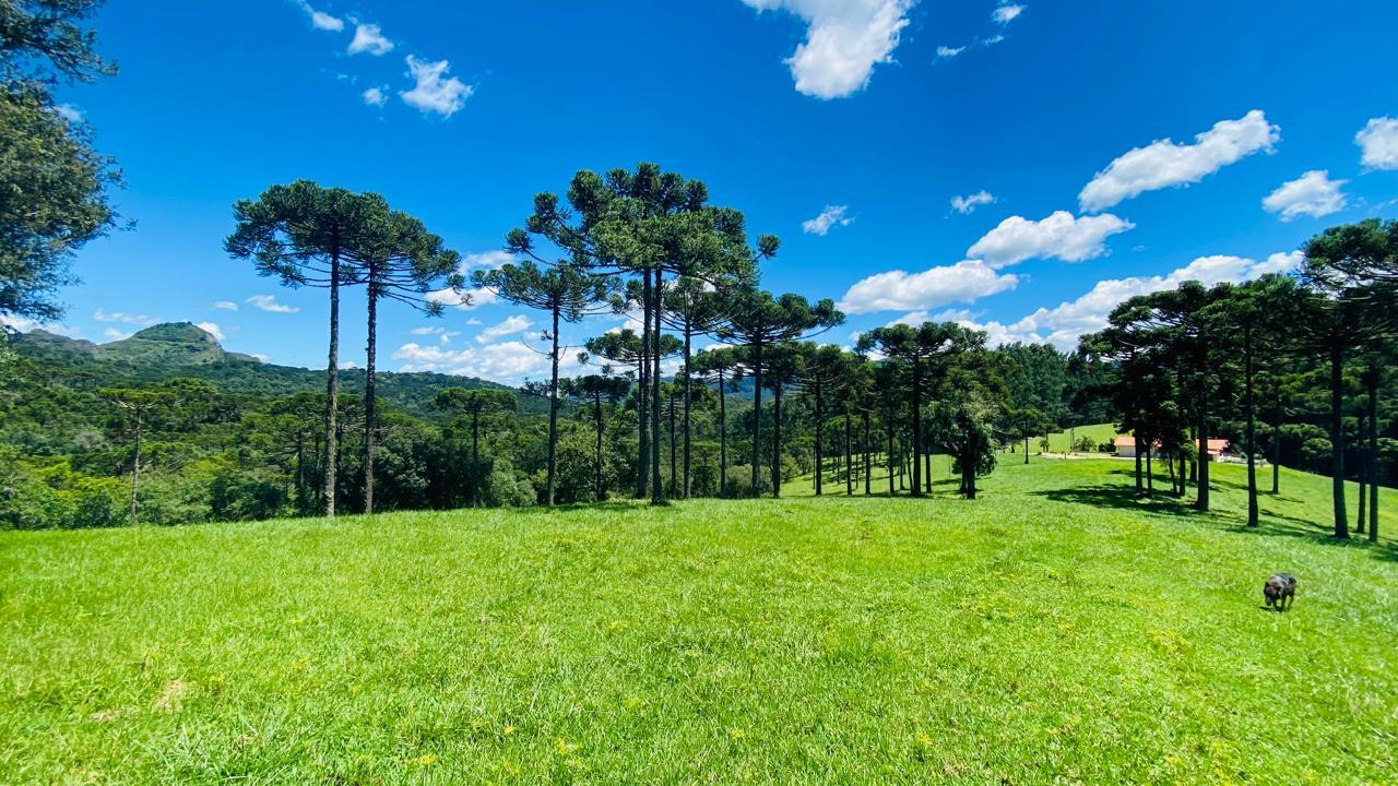 Fazenda com 60ha - �rea Nobre - V�rias cachoeiras - Urubici