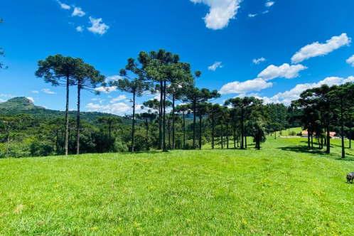 FAZENDA MARAVILHOSA COM 58 HECTARES EM URUBICI