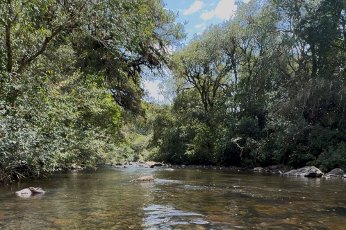 Terreno a Venda com Rio - Urubici - Serra Catarinense 