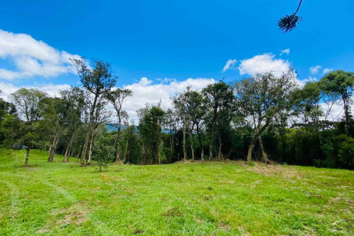 Terreno a Venda - Urubici - Serra Catarinense 