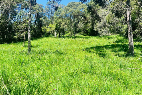 Terreno em condomnio fechado - Curucaca - Serra Catarinense