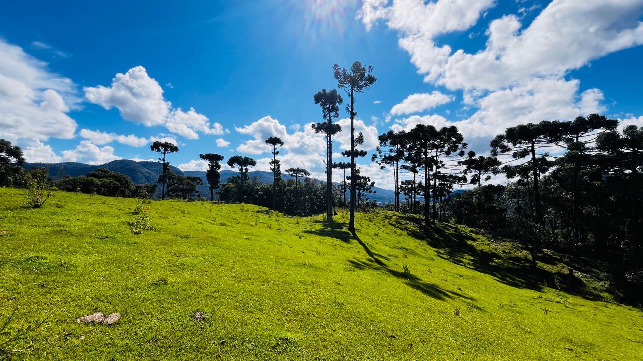 Lindo terreno de 2 hectares com vista do vale