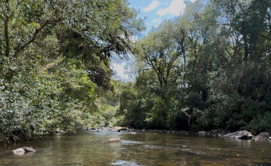 Terreno a Venda com Rio - Urubici - Serra Catarinense 