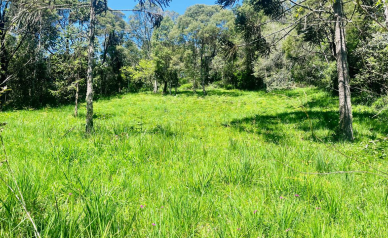 Terreno em condom�nio fechado - Curucaca - Serra Catarinense