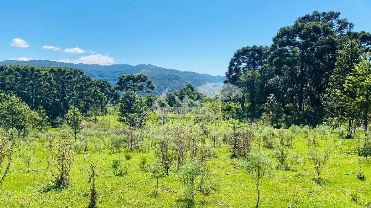 S�tio a Venda - Urubici - Serra Catarinense - Vista das Montanhas