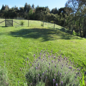 2 HECTARES COM DUAS CASAS EM URUBICI
