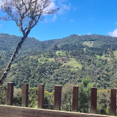 2 HECTARES COM DUAS CASAS EM URUBICI