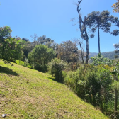 2 HECTARES COM DUAS CASAS EM URUBICI
