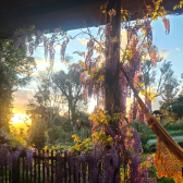 2 HECTARES COM DUAS CASAS EM URUBICI