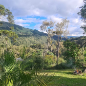 2 HECTARES COM DUAS CASAS EM URUBICI