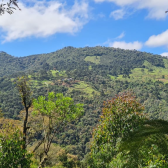 2 HECTARES COM DUAS CASAS EM URUBICI