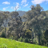 2 HECTARES COM DUAS CASAS EM URUBICI