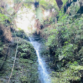 Fazenda com 60ha - �rea Nobre - V�rias cachoeiras - Urubici