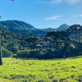 Fazenda com 60ha - �rea Nobre - V�rias cachoeiras - Urubici