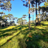 Fazenda com 60ha - �rea Nobre - V�rias cachoeiras - Urubici