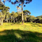 Fazenda com 60ha - �rea Nobre - V�rias cachoeiras - Urubici
