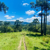 Fazenda com 60ha - �rea Nobre - V�rias cachoeiras - Urubici