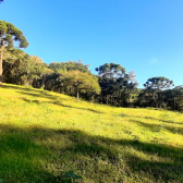 Fazenda com 60ha - �rea Nobre - V�rias cachoeiras - Urubici