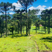 Fazenda com 60ha - �rea Nobre - V�rias cachoeiras - Urubici