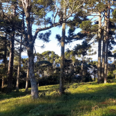 Fazenda com 60ha - �rea Nobre - V�rias cachoeiras - Urubici