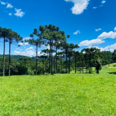 Fazenda com 60ha - �rea Nobre - V�rias cachoeiras - Urubici