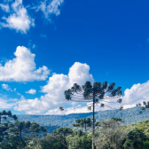 Lindo terreno de 2 hectares com vista do vale