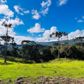 Lindo terreno de 2 hectares com vista do vale