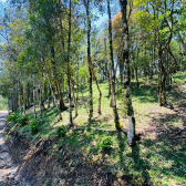 Lote Condom�nio Curucaca