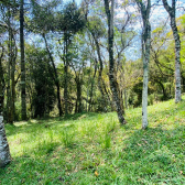 Lote Condom�nio Curucaca