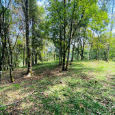 Lote Condom�nio Curucaca