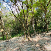 Sitio a Venda - Excelente Localiza��o - Vista das Montanhas 