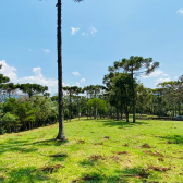 S�tio a Venda - Urubici - Serra Catarinense - Excelente Localiza��o