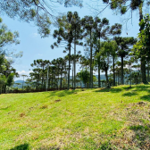 S�tio a Venda - Urubici - Serra Catarinense - Excelente Localiza��o