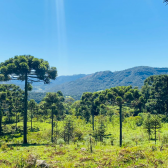 S�tio a Venda - Urubici - Serra Catarinense - Vista das Montanhas