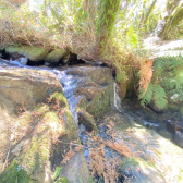 Terreno a Venda com �gua corrente - Urubici - Serra Catarinense