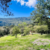 Terreno a Venda com Celeiro - Pronto para morar