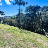 Terreno a Venda com Celeiro - Pronto para morar