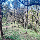 Terreno a Venda com Celeiro - Pronto para morar