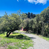 Terreno a Venda com Celeiro - Pronto para morar