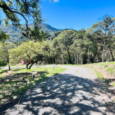 Terreno a Venda com Celeiro - Pronto para morar