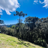 Terreno a Venda com Celeiro - Pronto para morar