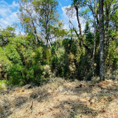 Terreno a Venda - com Excelente Localiza��o - Serra Catarinense