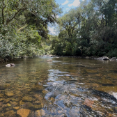 Terreno a Venda com Rio - Urubici - Serra Catarinense 