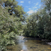 Terreno a Venda com Rio - Urubici - Serra Catarinense 
