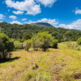 Terreno a Venda com Rio - Urubici - Serra Catarinense 