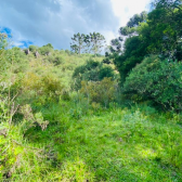 Terreno � Venda - Linda Vista das Montanhas -  Crioulas 