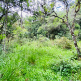 Terreno a Venda - Com �gua Corrente - Excelente Localiza��o 