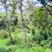 Terreno a Venda - Com �gua Corrente - Excelente Localiza��o 