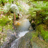 Terreno a Venda - Com �gua Corrente - Excelente Localiza��o 