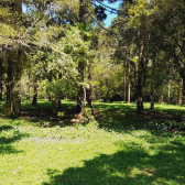 Terreno � venda - Rio dos Bugres - Excelente Vista